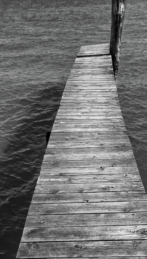 Old Dock 10 BW Photograph by Mary Bedy