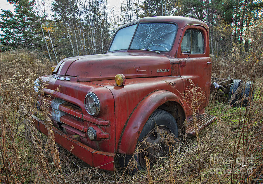 Old Dodge Truck Photograph by Alana Ranney