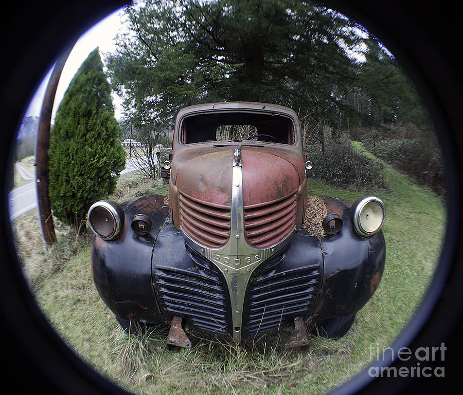 Old Dodge Truck Photograph by Clayton Bruster