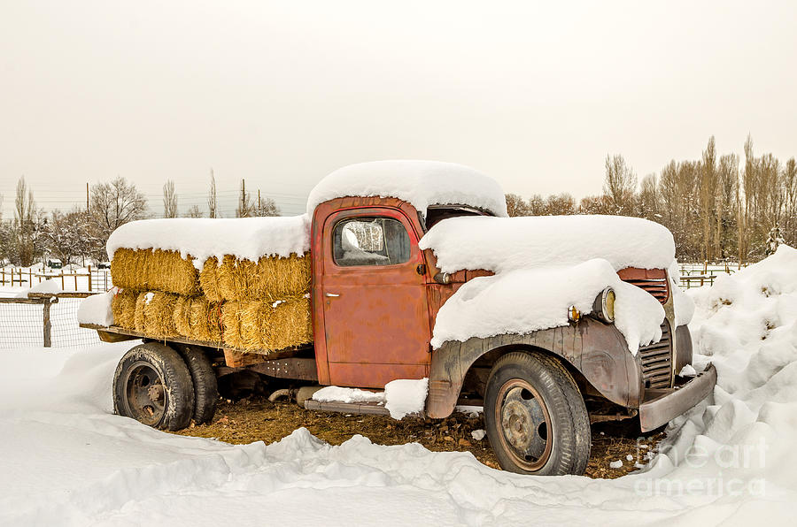 Old Dodge Truck Loaded with Hay Bales Photograph by Sue Smith