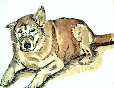 Old dog-Max Painting by Saga Sabin