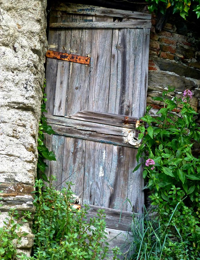 Old Door in Vernazza Photograph by Amelia Racca