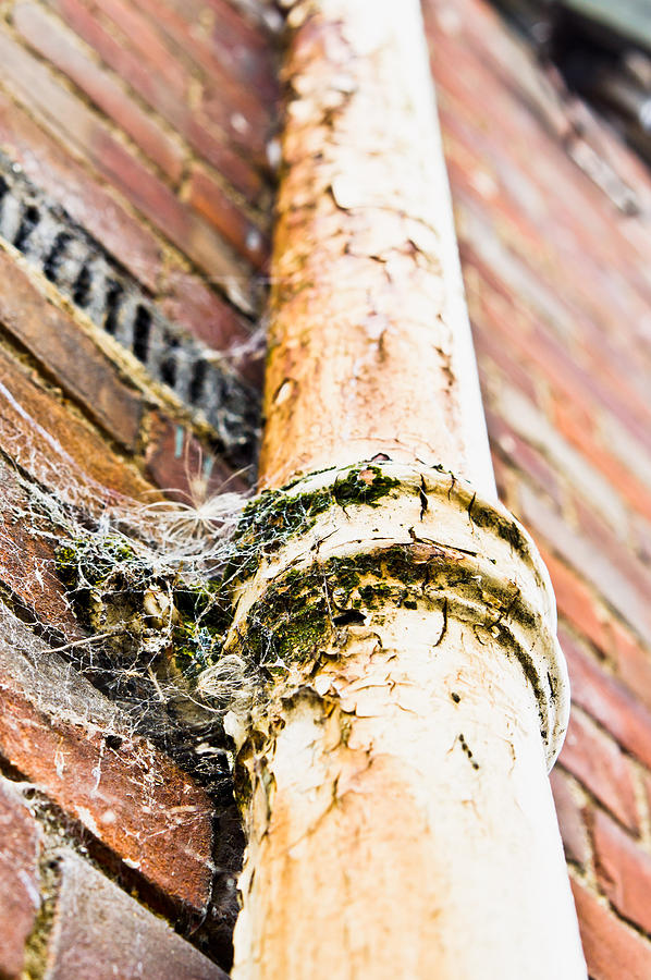 Brick Photograph - Old drain pipe by Tom Gowanlock