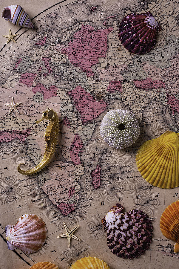 Map Photograph - Old Europe Map With Shells by Garry Gay