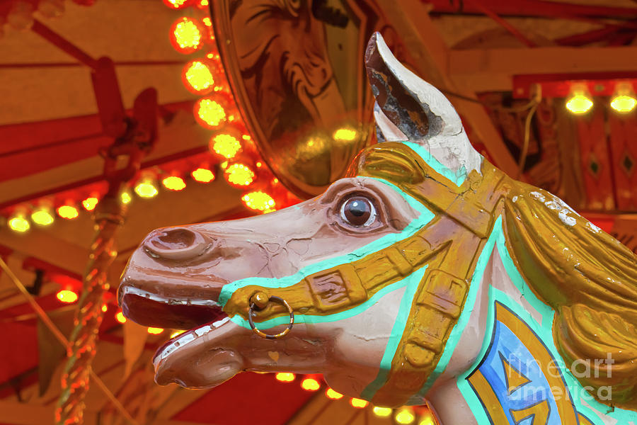 Old Fairground Horse Photograph by Terri Waters