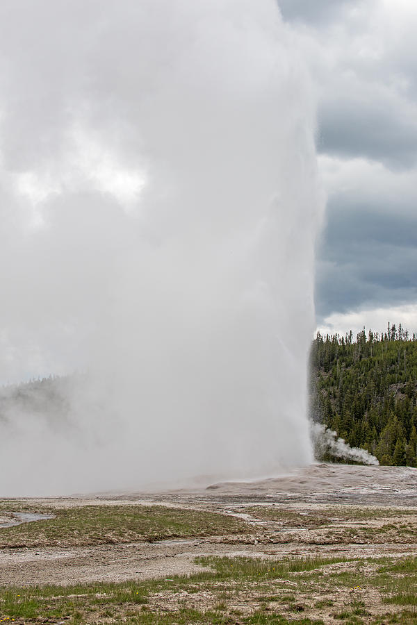 Old Faithful A Full Eruption Yellowstone National Park Photograph by Willie Harper