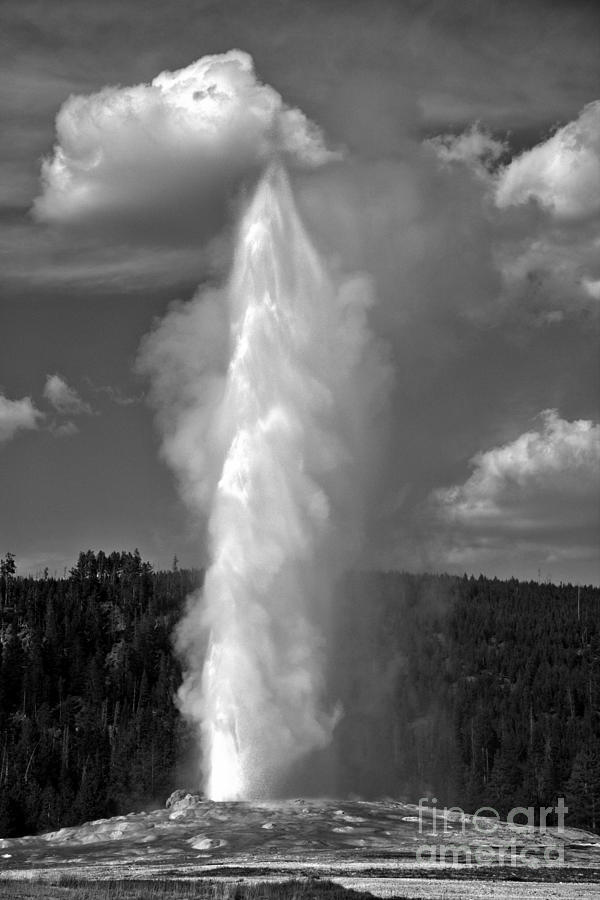 Old Faithful Blast Black And White Photograph by Adam Jewell