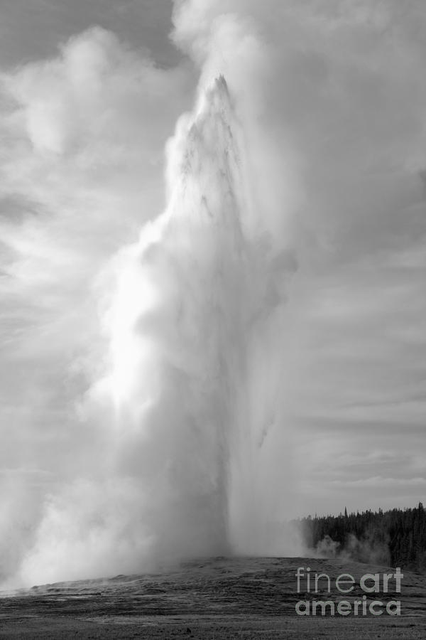 Old Faithful Blue Sky Eruption Black And White Photograph by Adam Jewell