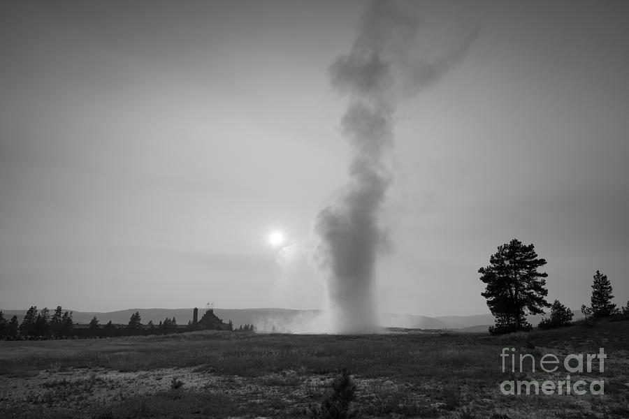 Old Faithful Erupting BW Photograph by Michael Ver Sprill