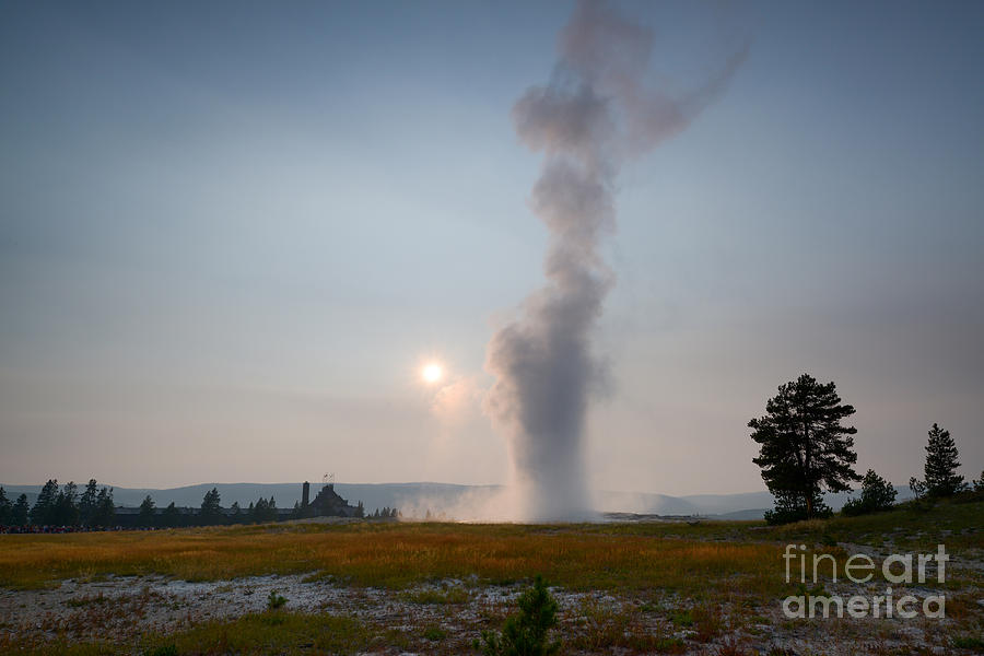Old Faithful Erupting Photograph by Michael Ver Sprill