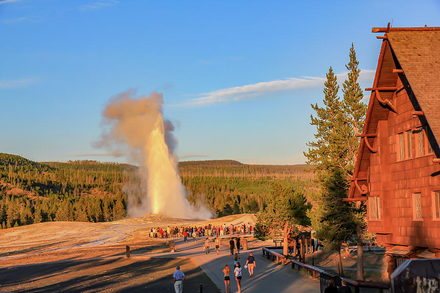Old Faithful Geyser Evening Photograph by Kevin Craft