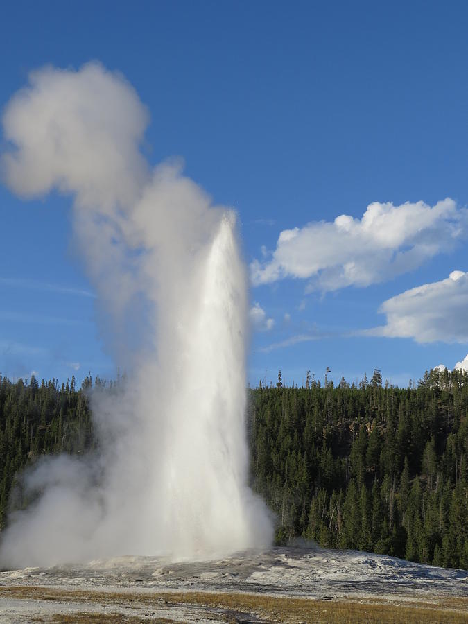 Old Faithful Geyser In Yellowstone Photograph By Magda Van Der Kleij 