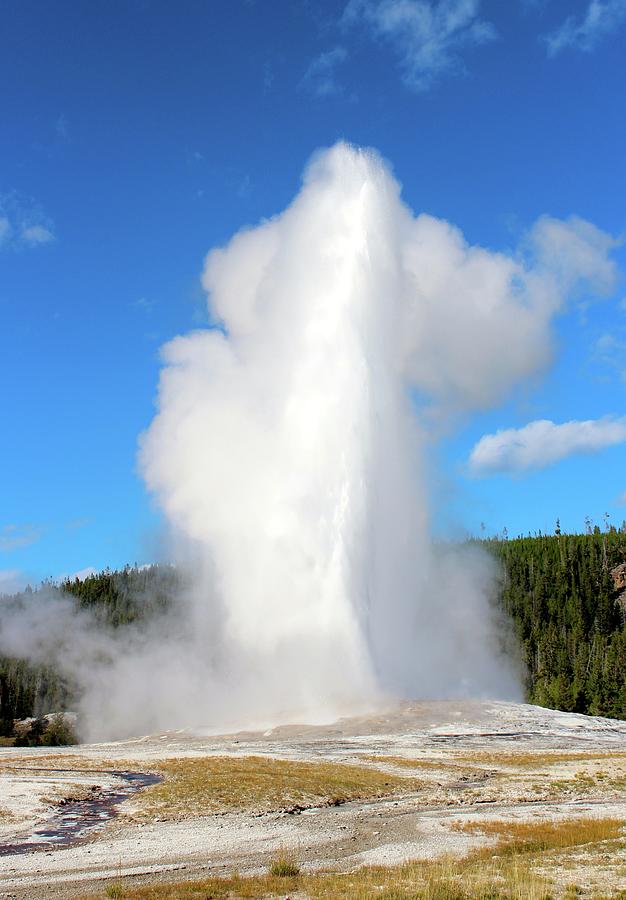 Old Faithful Photograph by Nicki Clark - Fine Art America