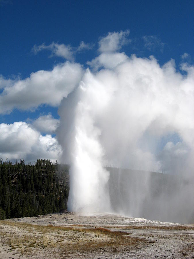 Old Faithful Photograph Photograph by Kimberly Walker - Pixels