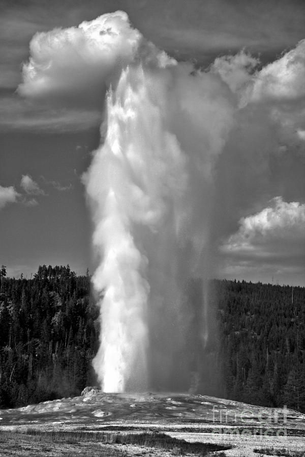 Old Faithful September Eruption Black And White Photograph by Adam Jewell