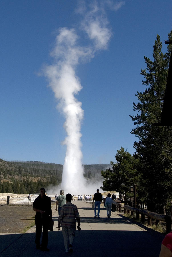 National Parks Photograph - Old Faithfull Geyser by Charles  Ridgway