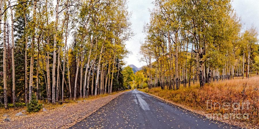 Fall Photograph - Old Fall River Road with Changing Aspens - Rocky Mountain National Park - Estes Park Colorado by Silvio Ligutti