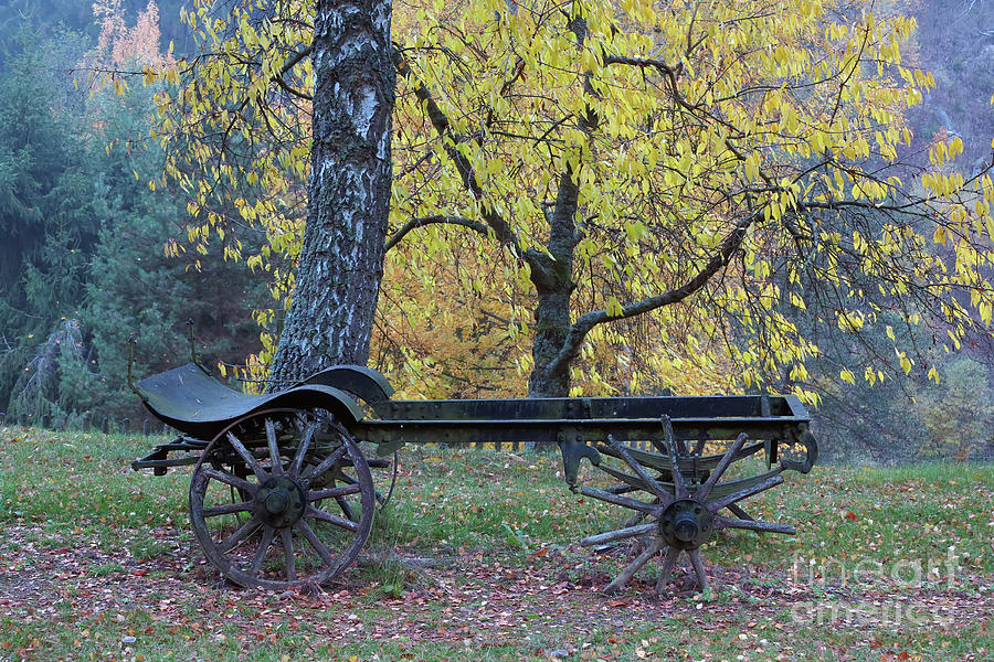 Old farm carriage under an autumn trees Photograph by Michal Boubin