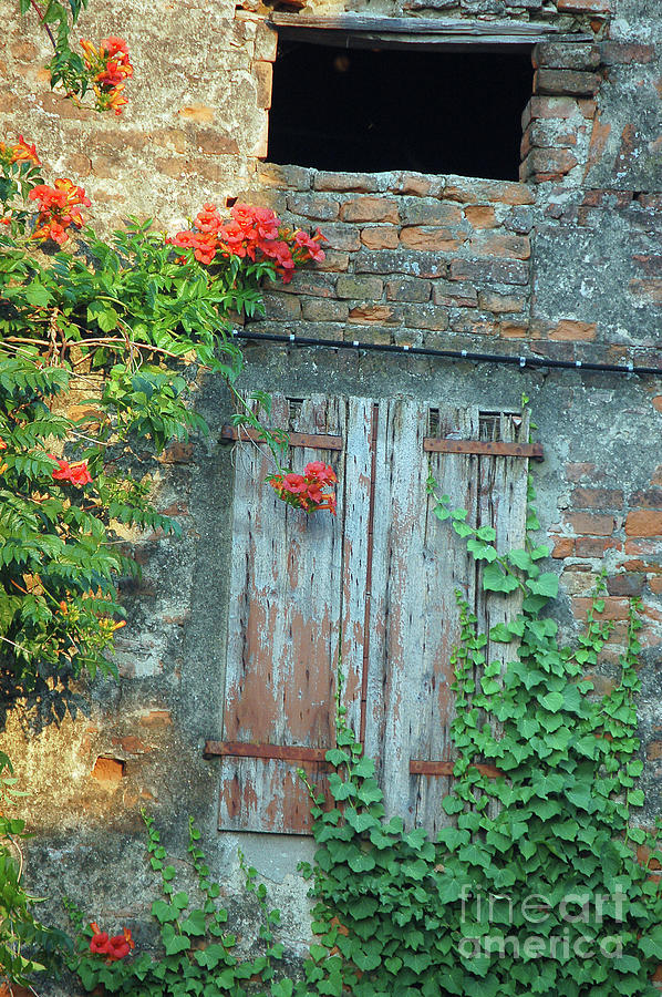 Old Farm Door by Frank Stallone Old Farm Door by Frank Stallone