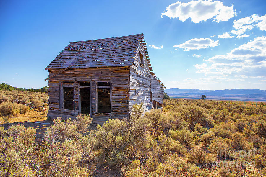Las Vegas Photograph - Old Farm House Widtsoe Utah ghost town by Edward Fielding