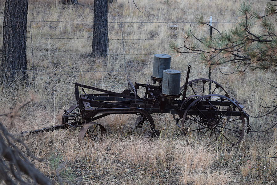 Old Farm Implement Lake George CO #3 Photograph by Margarethe Binkley