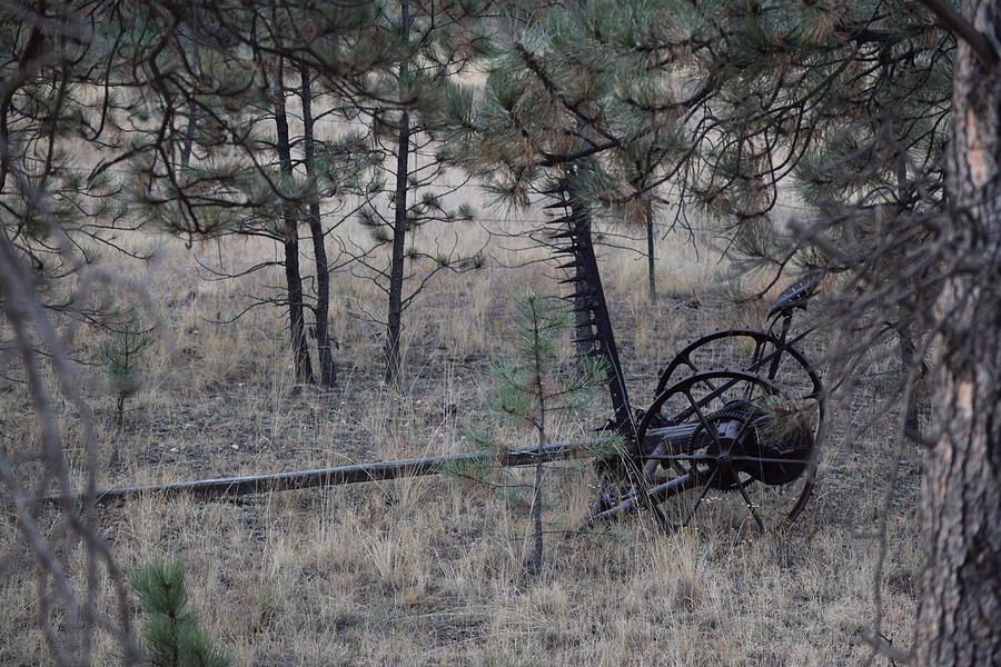 Old Farm Implement Lake George CO Photograph by Margarethe Binkley