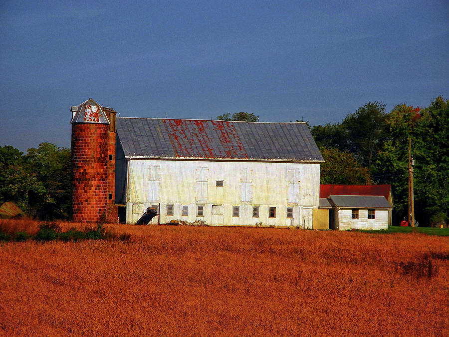 Old Farm PA AT Photograph by Raymond Salani III