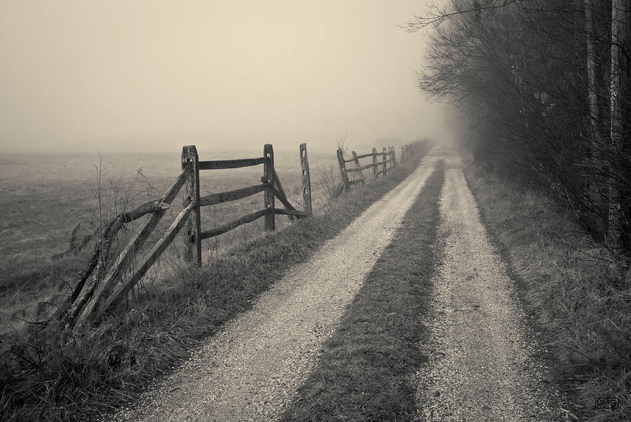 Old Farm Road Toned Photograph by David Gordon