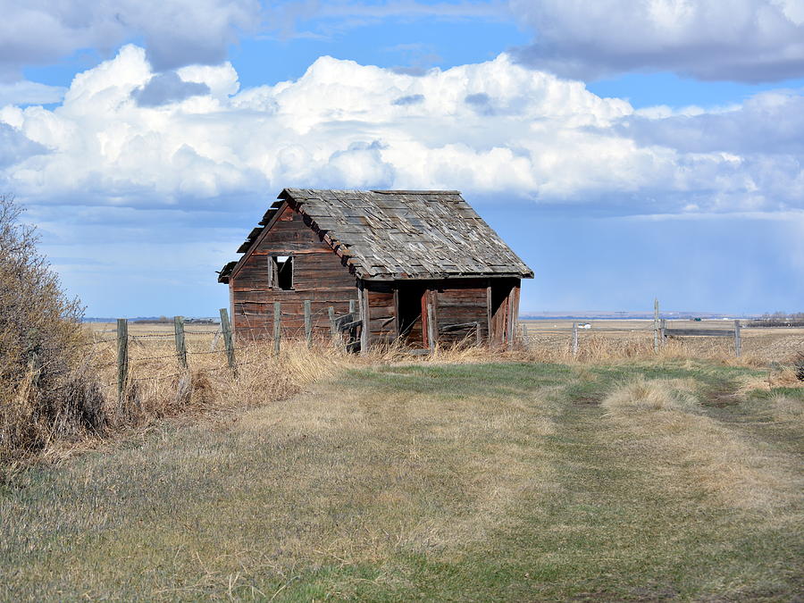 Old Farm Shack Photograph by Ed Mosier