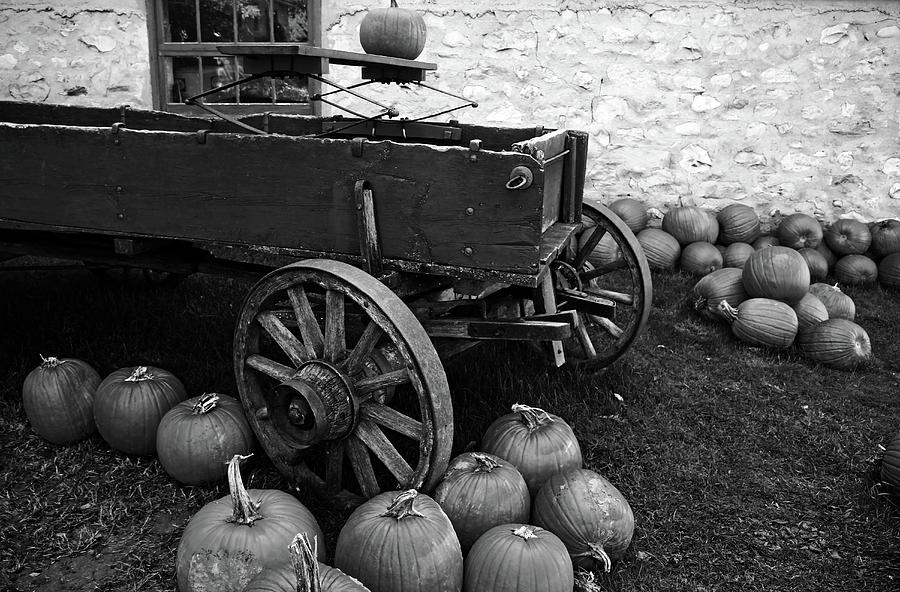 Thanksgiving Photograph - Old Farm Wagon And Pumpkins Black And White by Debbie Oppermann