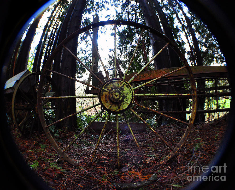 Old Farm Wagon Wheel Photograph by Clayton Bruster