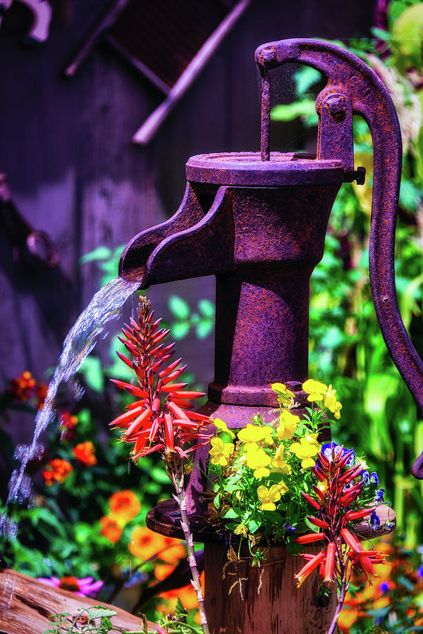 Old Farm Water Pump Photograph by Garry Gay