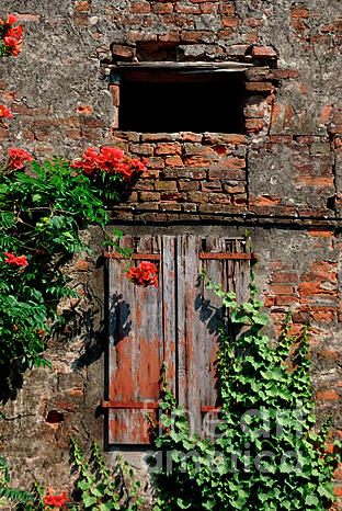 Old farm window by Frank Stallone Old farm window by Frank Stallone