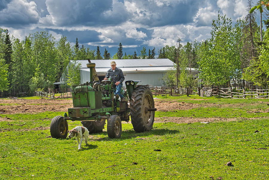 Tree Photograph - Old Farmer Old Tractor Old Dog by Cathy Mahnke