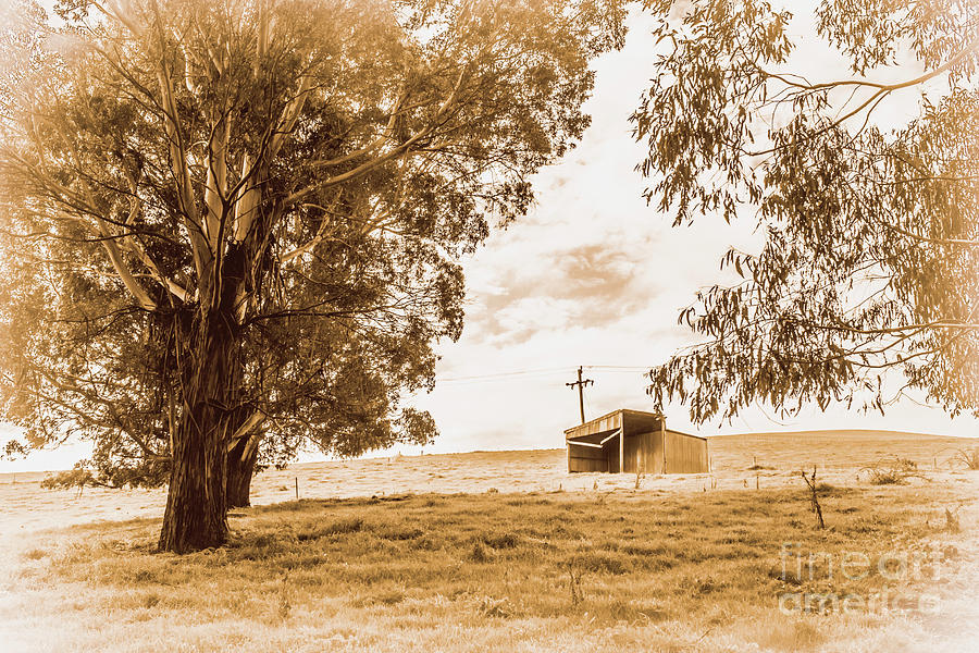Old farmstead shack Photograph by Jorgo Photography