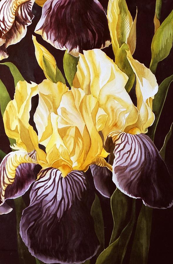 Iris Painting - Old fashion iris by Alfred Ng