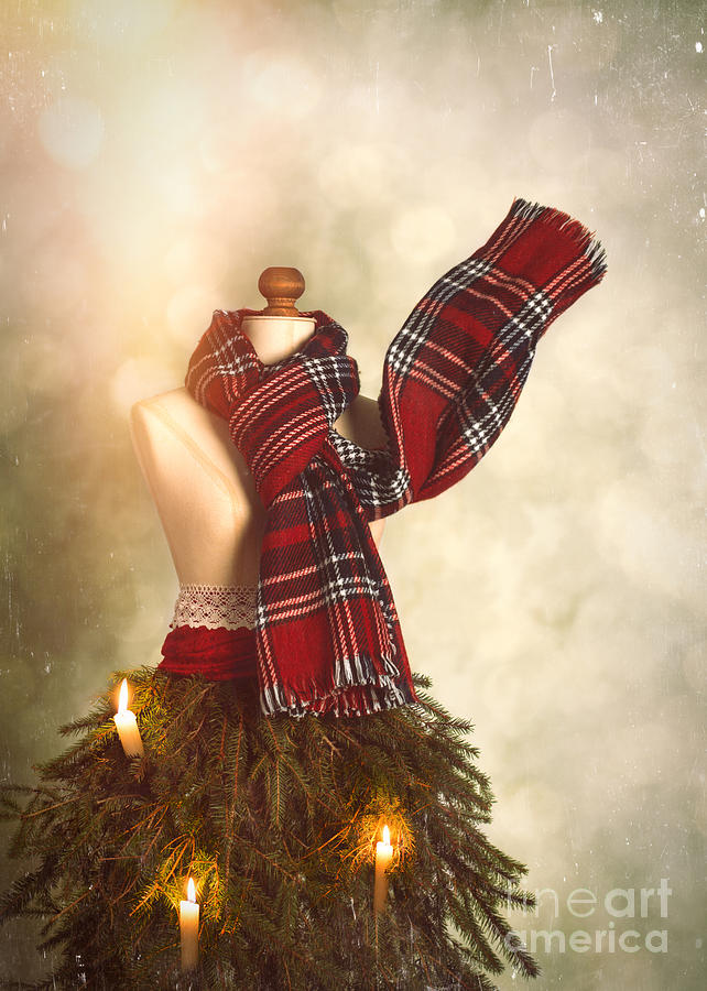 Winter Photograph - Old Fashioned Christmas Tree by Amanda Elwell