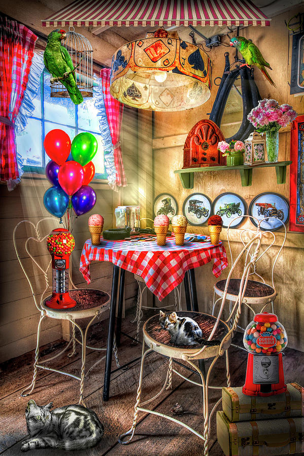 Bird Photograph - Old Fashioned Country Candy and Ice Cream Parlor in HDR Colors by Debra and Dave Vanderlaan