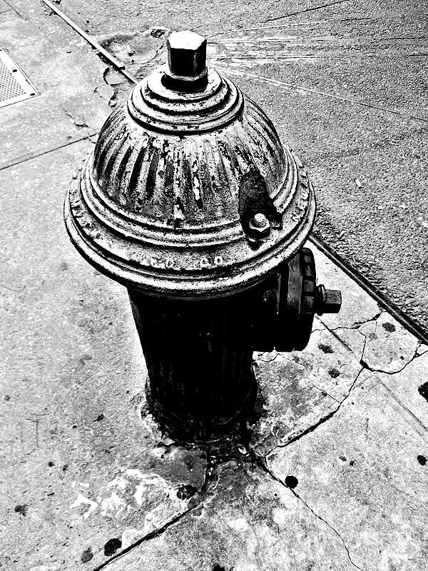 Old-Fashioned Fire Hydrant - Vintage New York City Icon Photograph by Miriam Danar