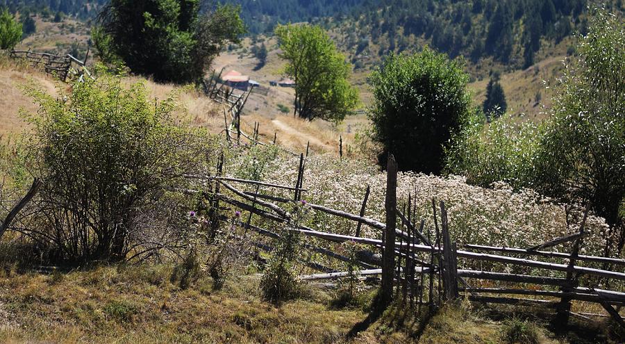 Old Fence in Bulgaria Photograph by Mark Mitchell