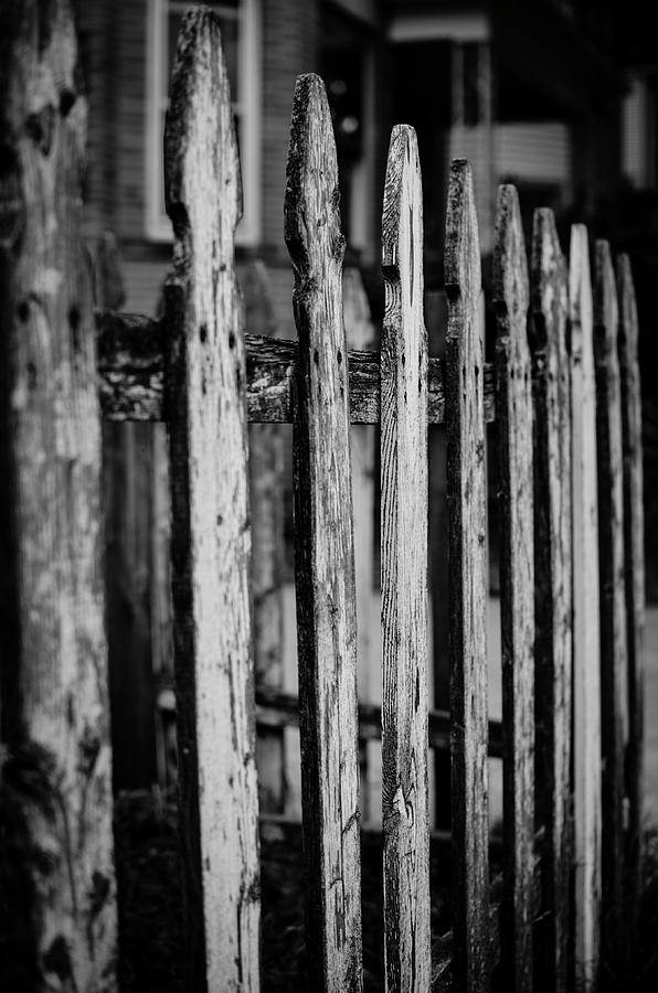Old Fence in the City Photograph by Miguel Winterpacht
