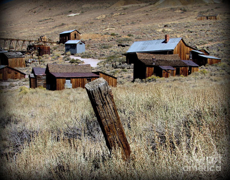 Old Fence Post Photograph by Joy Patzner - Fine Art America