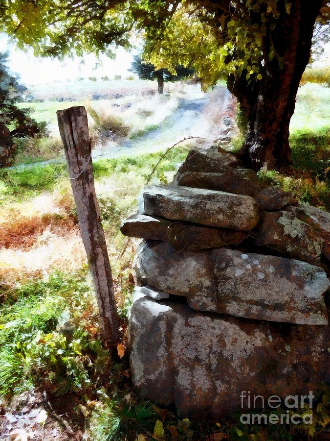 Old fence post Orchard Photograph by Janine Riley