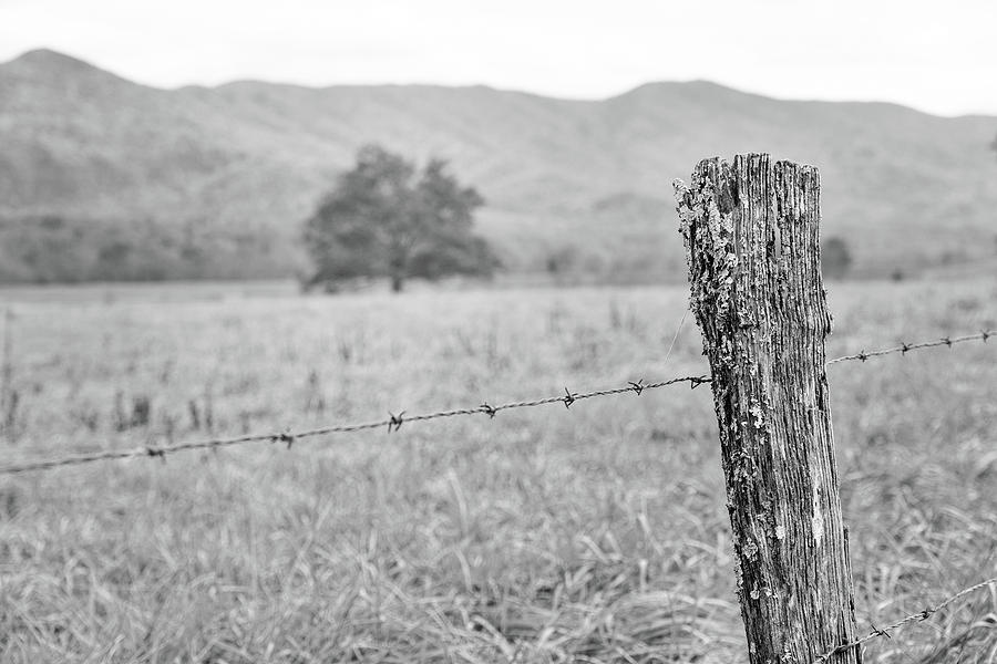 Old Fence Post Photograph by Victor Culpepper