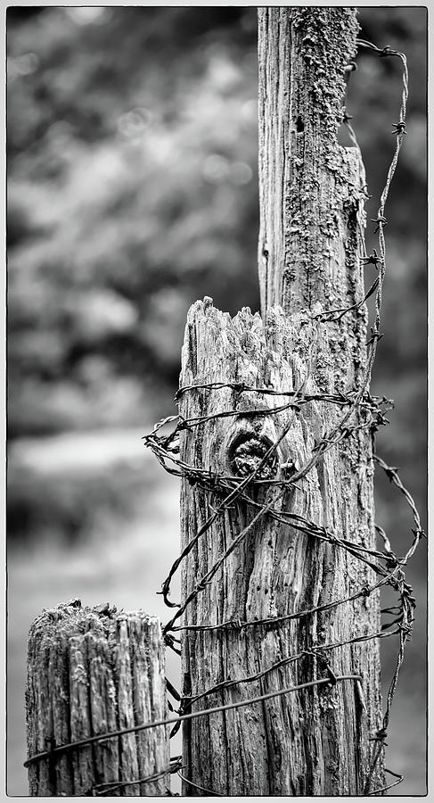 old barbed wire fence