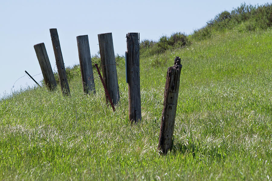 Old Fence Photograph by Roger Mullenhour