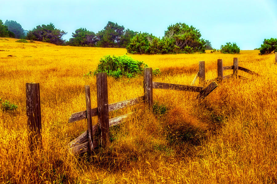 Old Fence Summer Pastures Photograph by Garry Gay