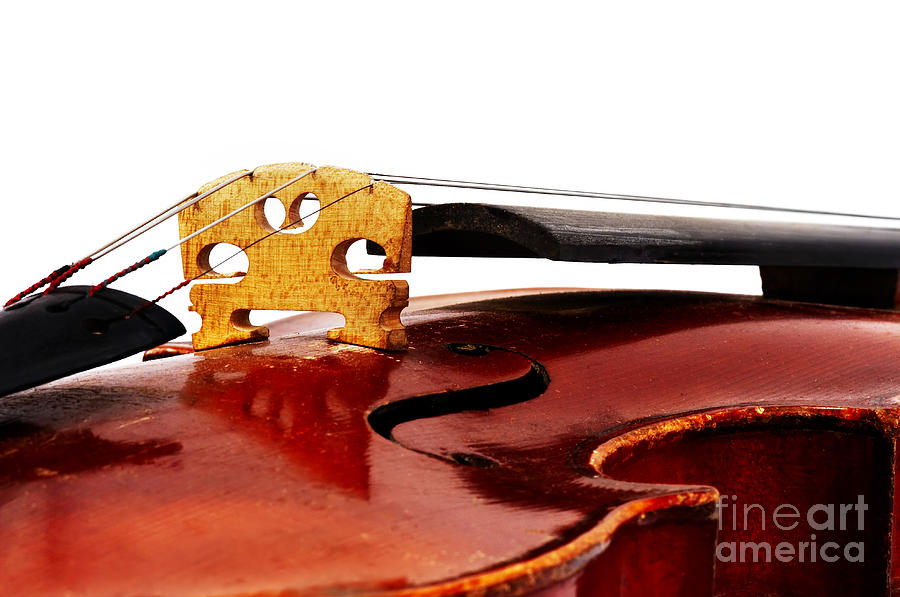 Old Fiddle Photograph by Michal Boubin