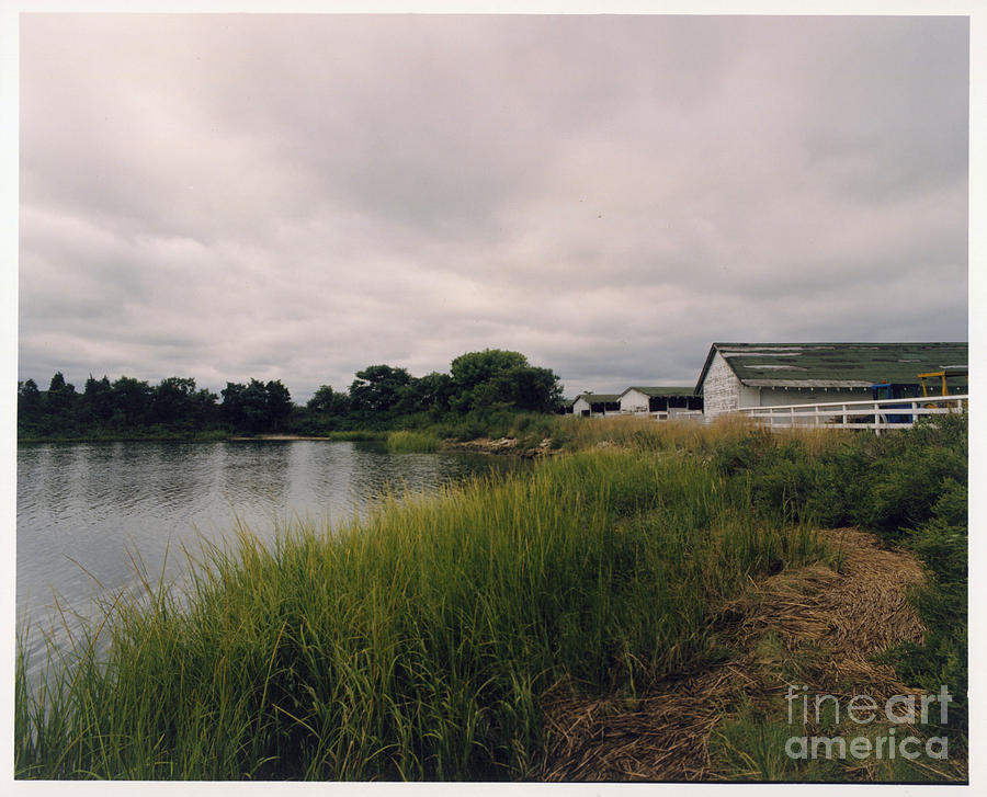 Old Field Stables by the Water Digital Art by Jack Ader
