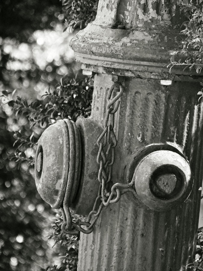 Old Fire Hydrant Photograph by Dark Whimsy